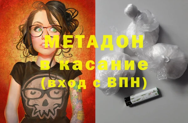 стаф Алзамай