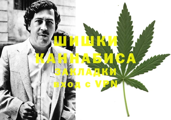 амф Алексин