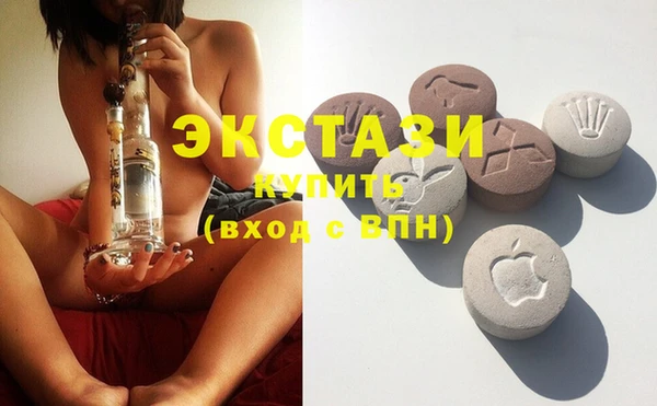 стаф Алзамай