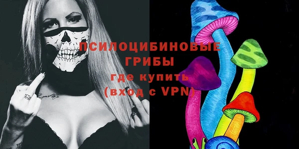 амф Алексин