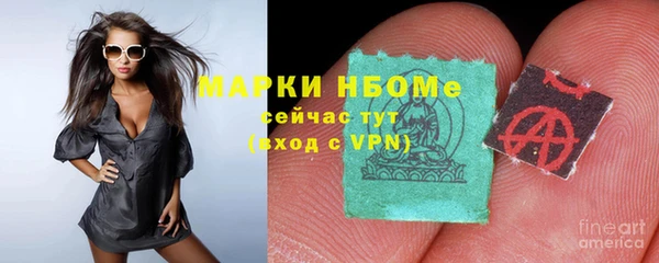 стаф Алзамай