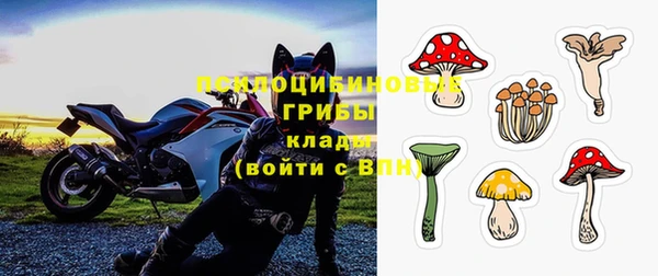 стаф Алзамай